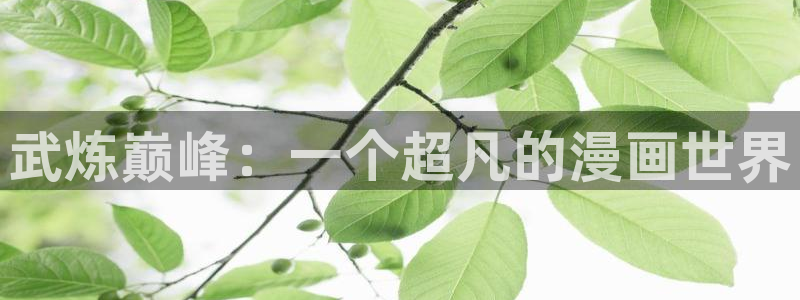 yy漫画首页登