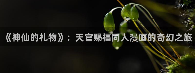 yy漫画首页登录入口：《神仙的礼物》：天官赐福同人漫画的奇幻之旅
