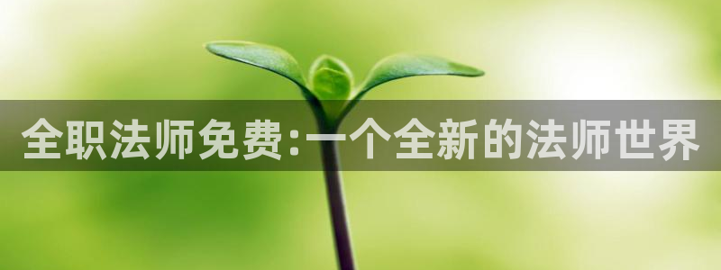 yy漫画免费下：全职法师免费:一个全新的法师世界