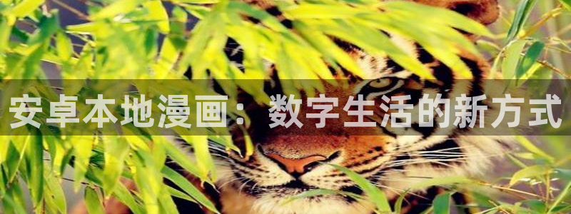 yy漫画汗汗：安卓本地漫画：数字生活的新方式