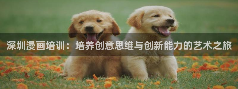 luruyy漫画：深圳漫画培训：培养创意思维与创新能力的艺术之旅
