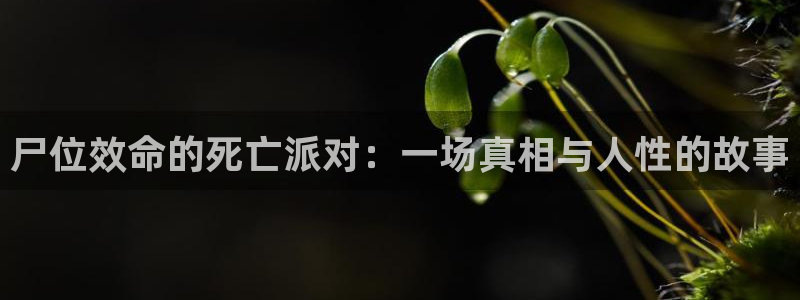 yy漫画破解版：尸位效命的死亡派对：一场真相与人性的故事