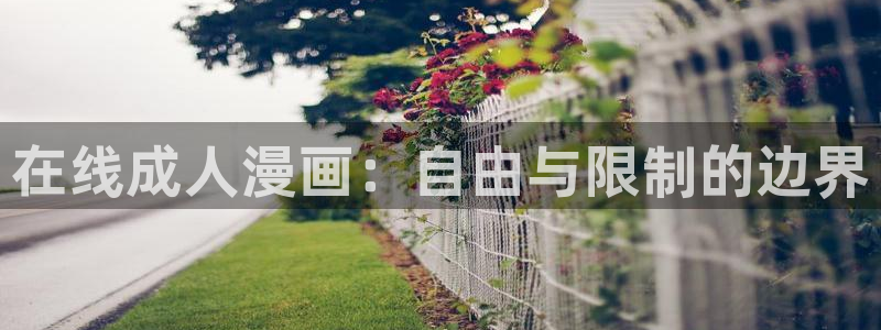 免费看yy漫画：在线成人漫画：自由与限制的边界