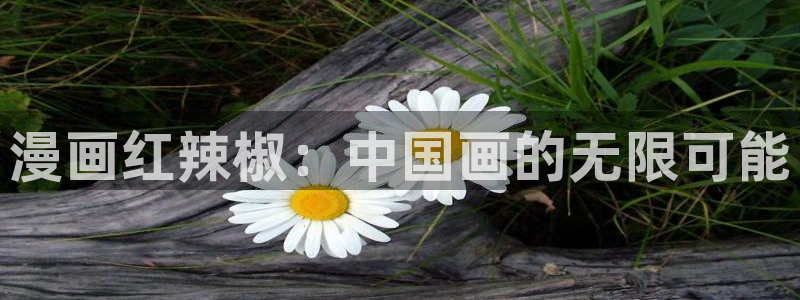 yy漫画免费阅读：漫画红辣椒：中国画的无限可能