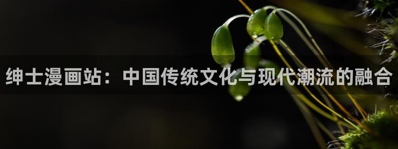 yy漫画韩漫免费：绅士漫画站：中国传统文化与现代潮流的融合