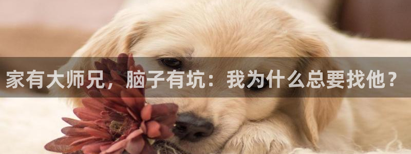 yy漫画直接看：家有大师兄，脑子有坑：我为什么总要找他？